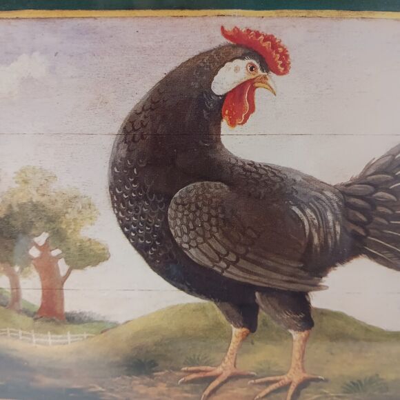 Vintage Chicken and Hen Pictures Framed Prints Farmhouse Country 9" X 11" Two - Picture 7 of 10